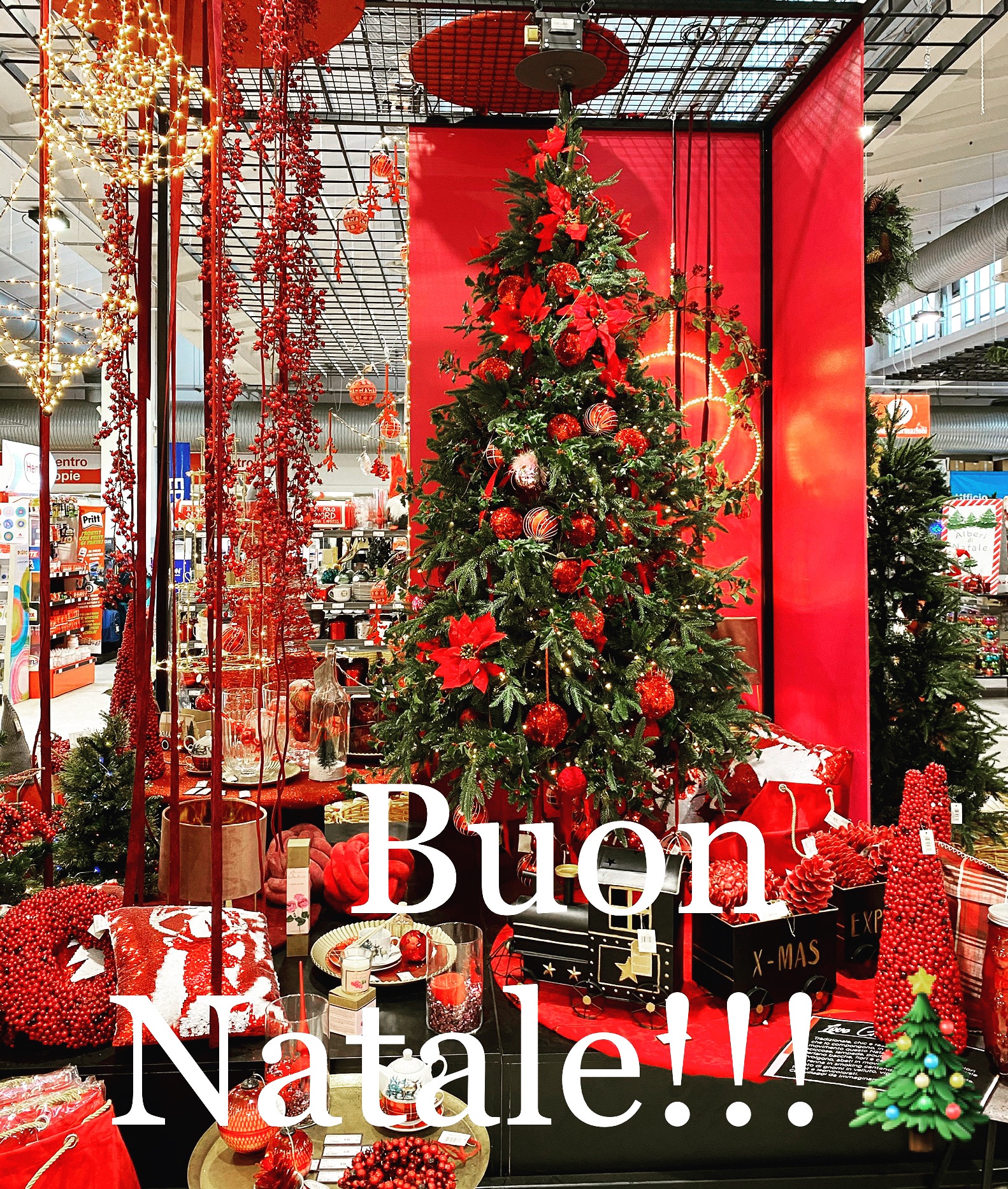 I miei auguri di Buon Natale - Elenia Stefani